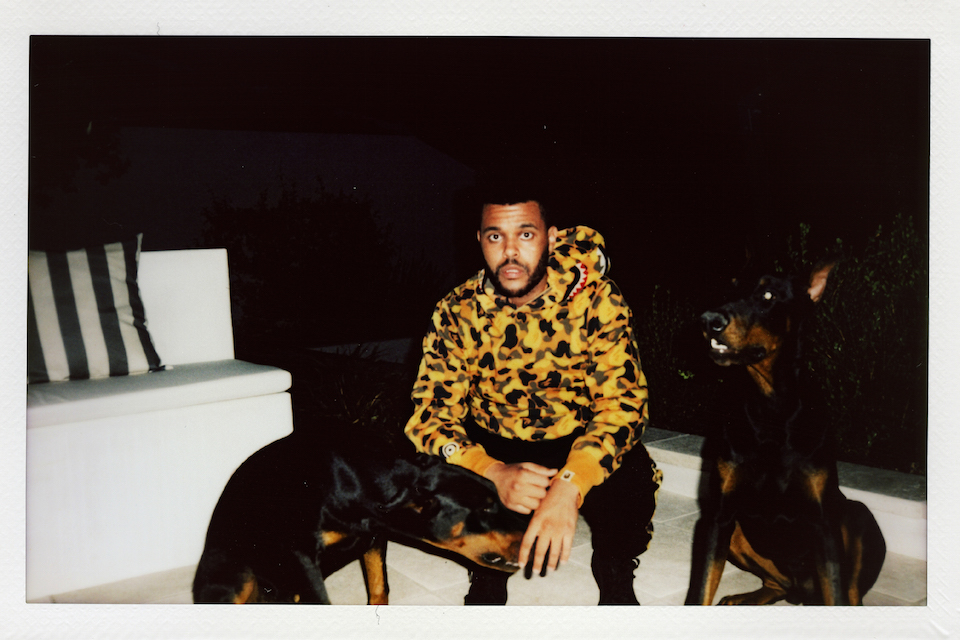 the weeknd bape summer 2018 collection 5