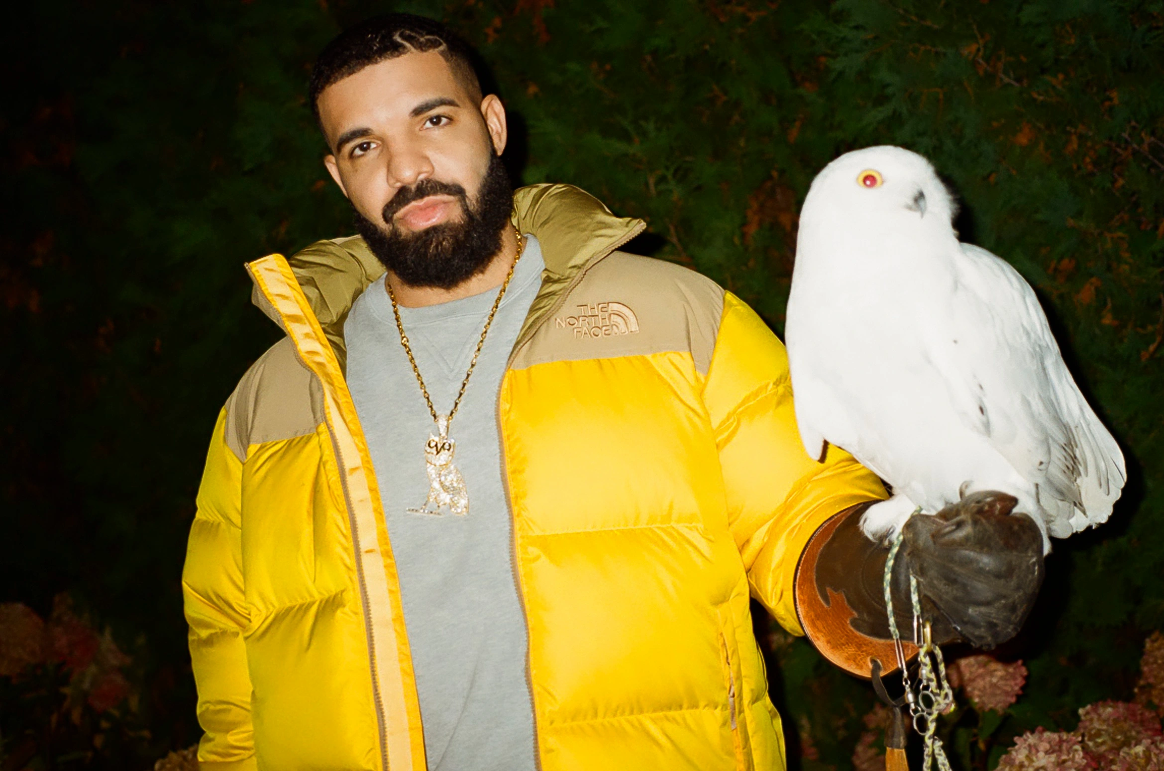 Drake Releasing New Album Honestly, Nevermind Tonight