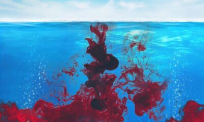 Millyz, JiggzTB and GNipsey release collaborative project, Blood In The Water