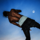 Travis Scott Releases 'DAYS BEFORE RODEO' On Streaming Services miixtapechiick