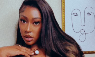 Judge Dismisses Defamation Claim in Megan Thee Stallion’s Lawsuit, Upholds Deepfake and Emotional Distress Verdicts miixtapechiick