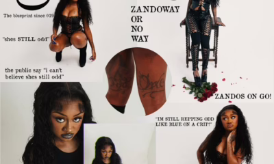 TeeZandos Releases Debut Mixtape 'Still Odd' miixtapechiick