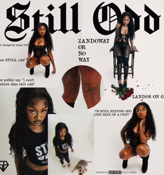 TeeZandos Releases Debut Mixtape 'Still Odd' miixtapechiick