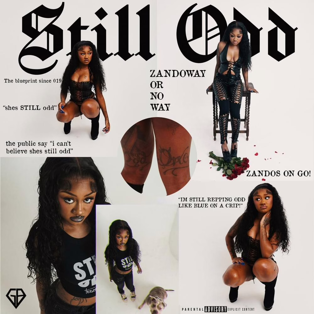 TeeZandos Releases Debut Mixtape 'Still Odd' miixtapechiick